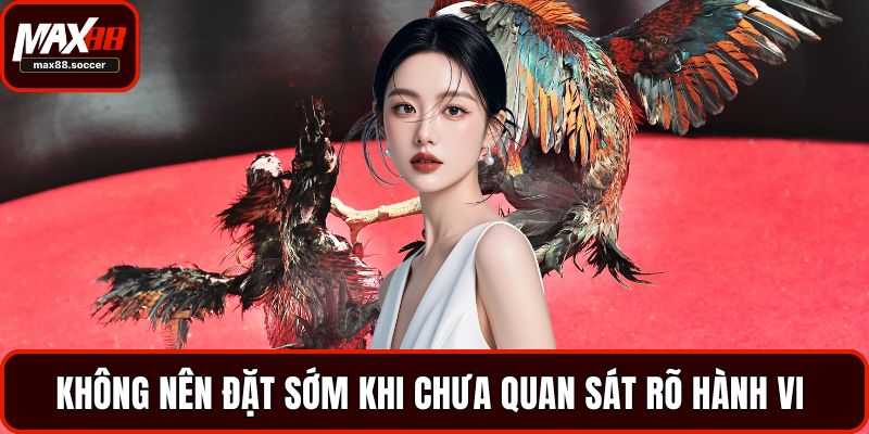 Không nên đặt sớm khi chưa quan sát rõ hành vi