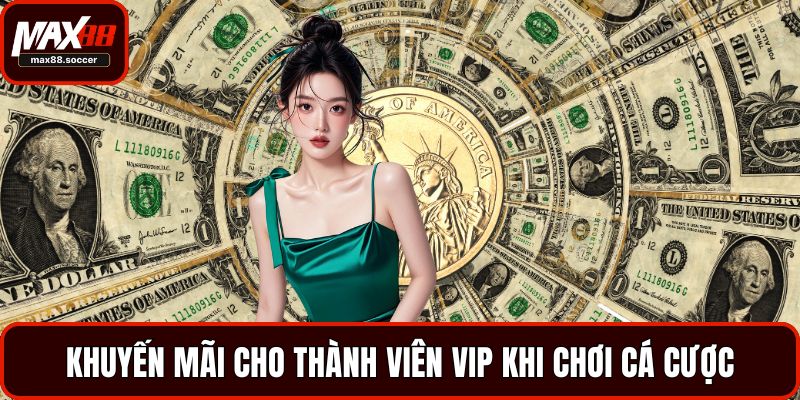 Khuyến mãi cho thành viên VIP khi chơi cá cược